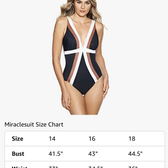 Miraclesuit Black and Brown One Piece with Plunging Neckline - Picture 4 of 5